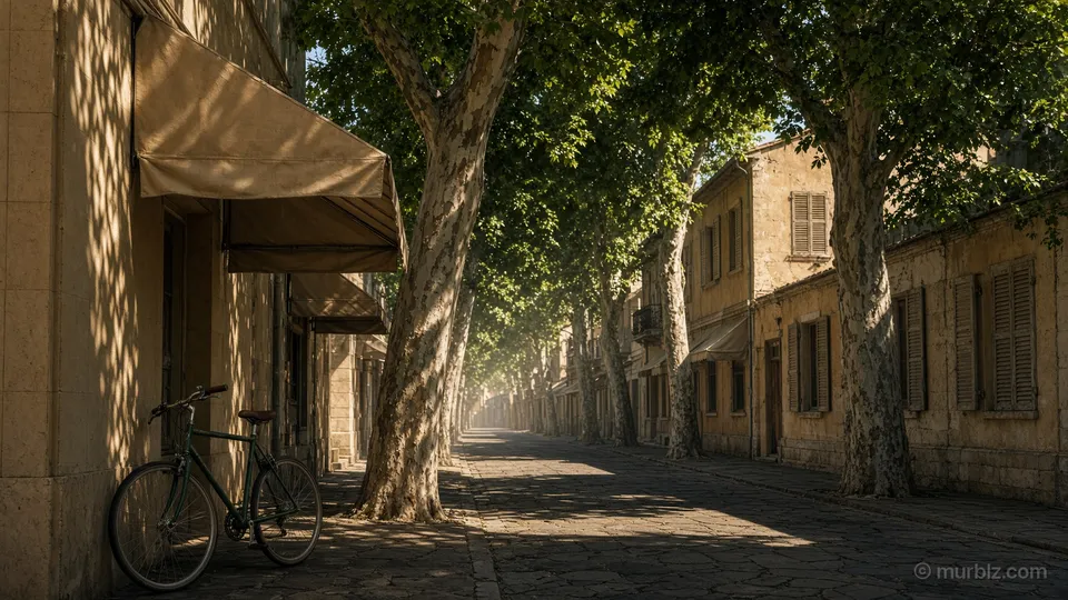 Narrow shady street with plane trees and awnings on a hot day